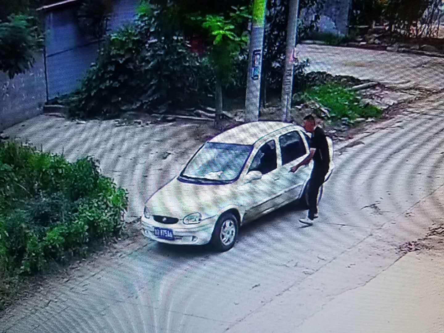 偷狗1.jpg