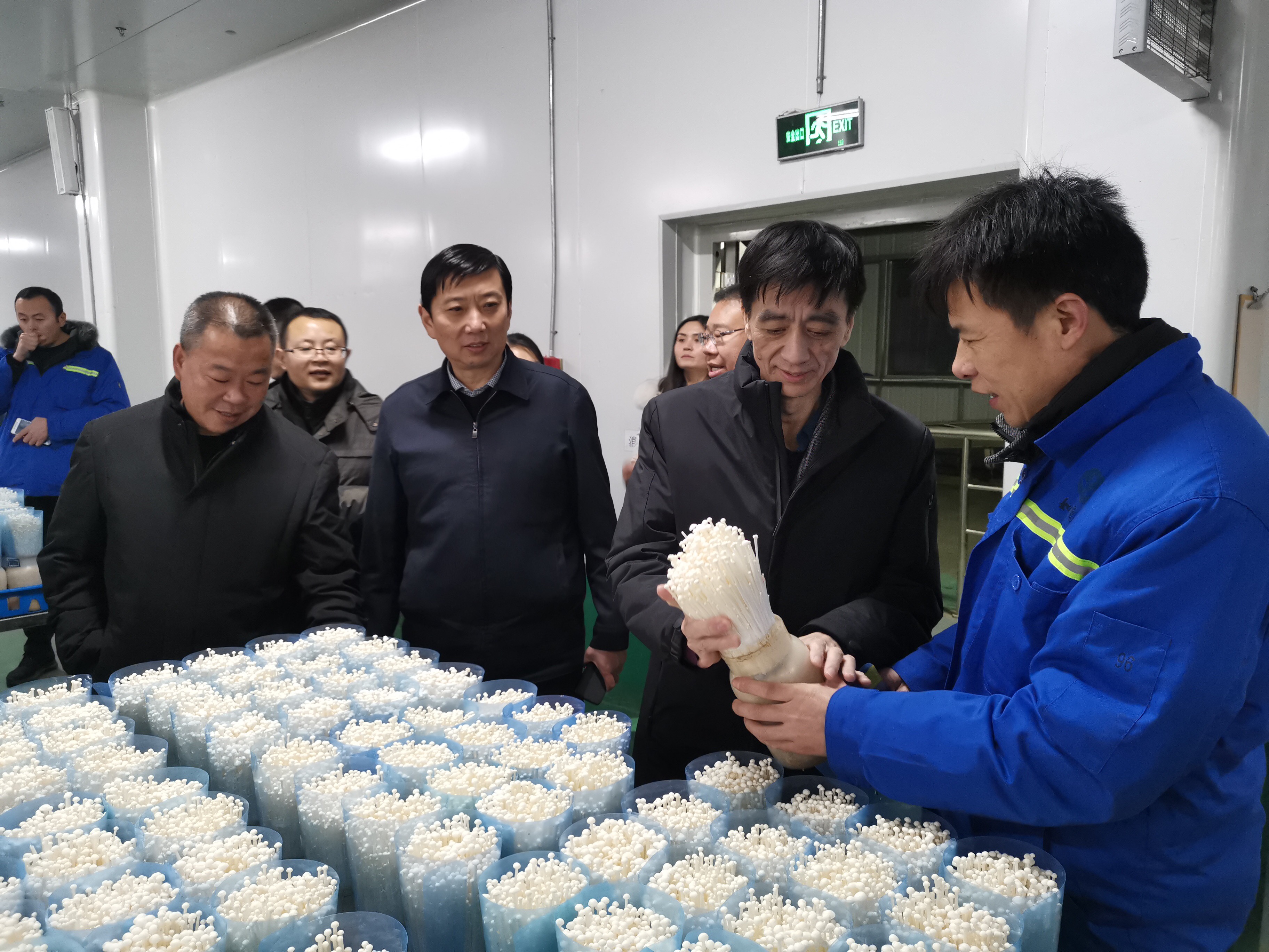 微信图片_20190121184401.jpg