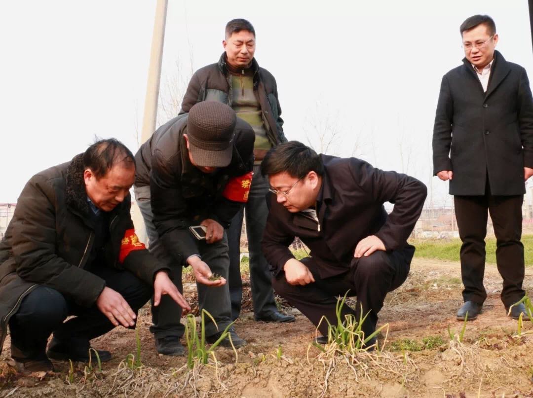 微信图片_20190227172032.jpg