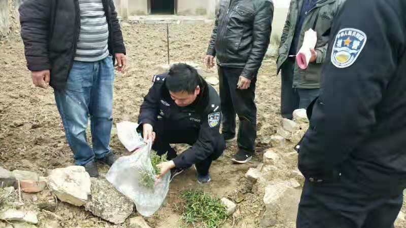 图片2.jpg