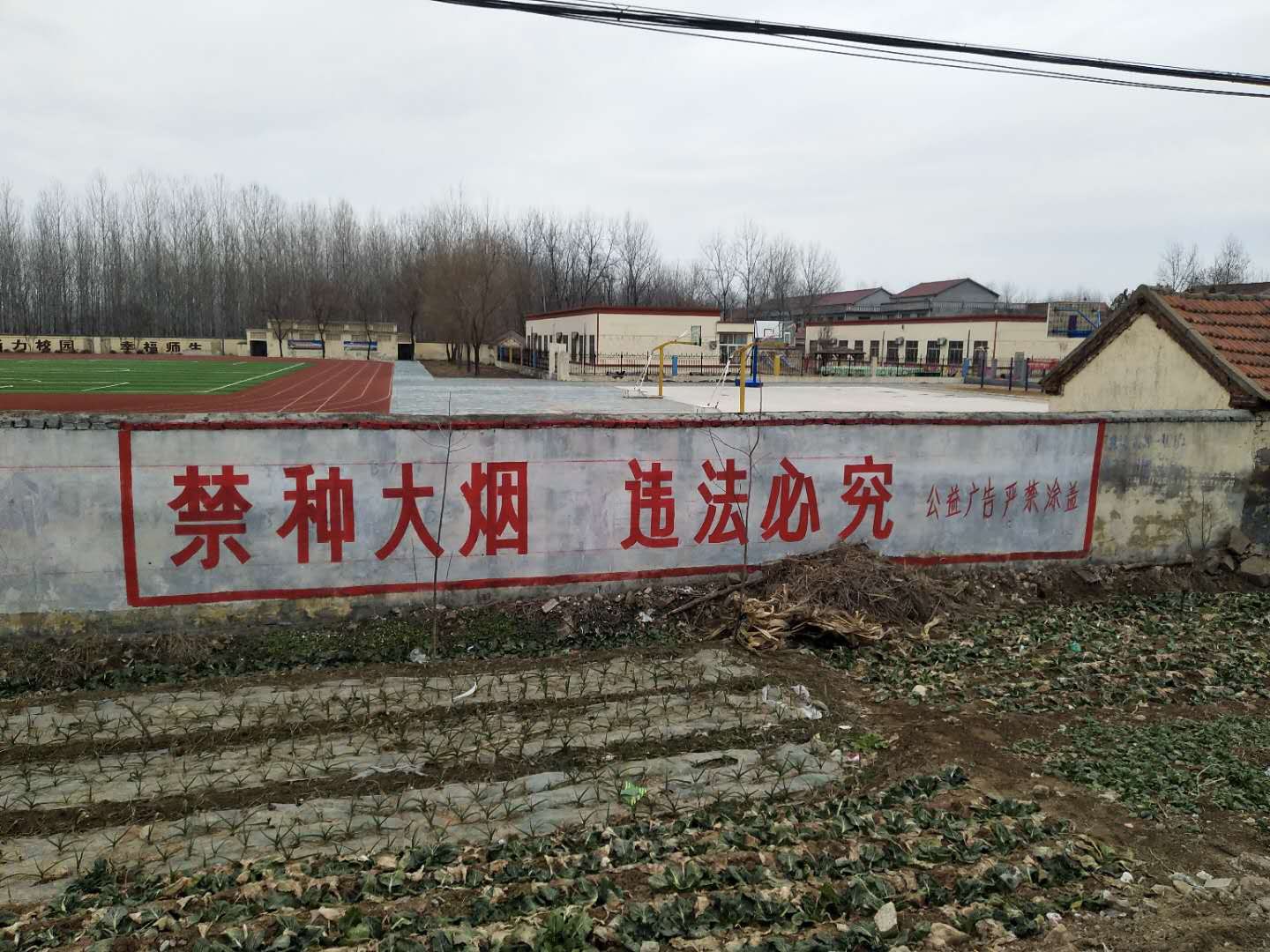图片3.jpg