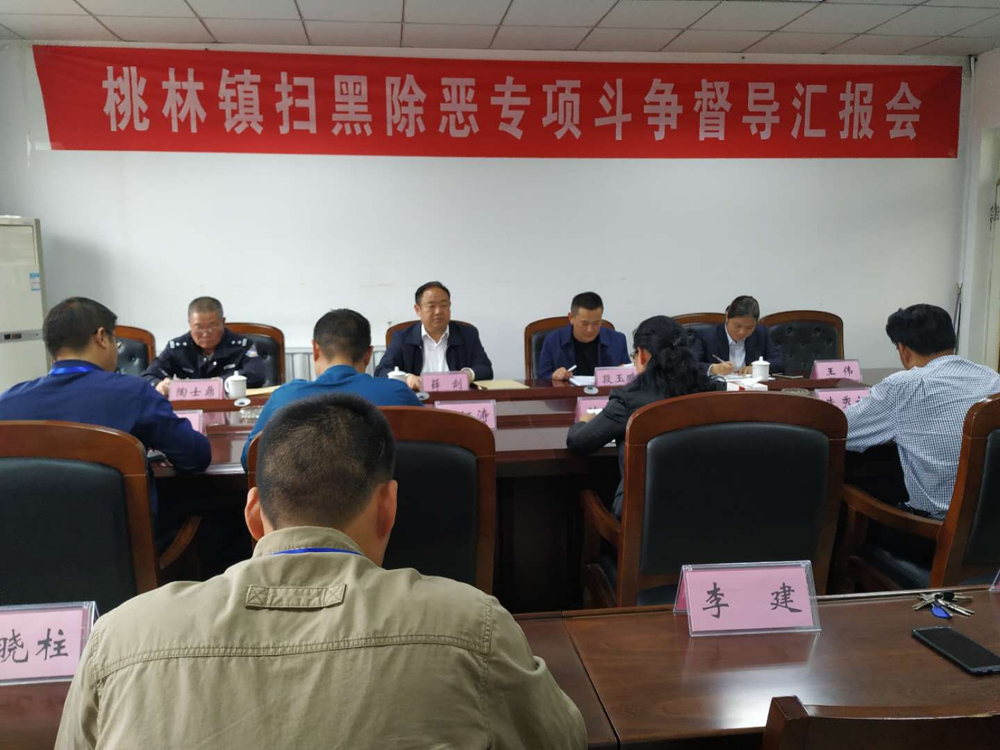 薛剑 桃林.jpg