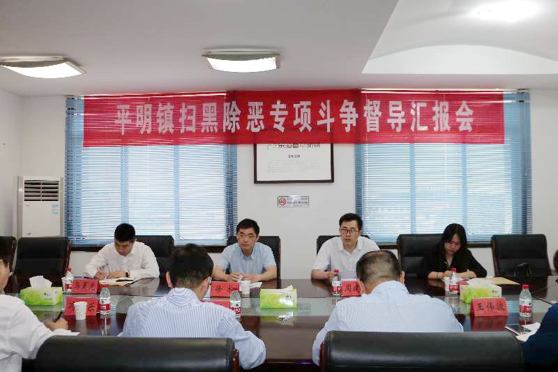 徐冰 平明.jpg